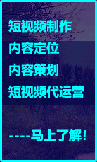 百度SEO优化服务-淘站SEO