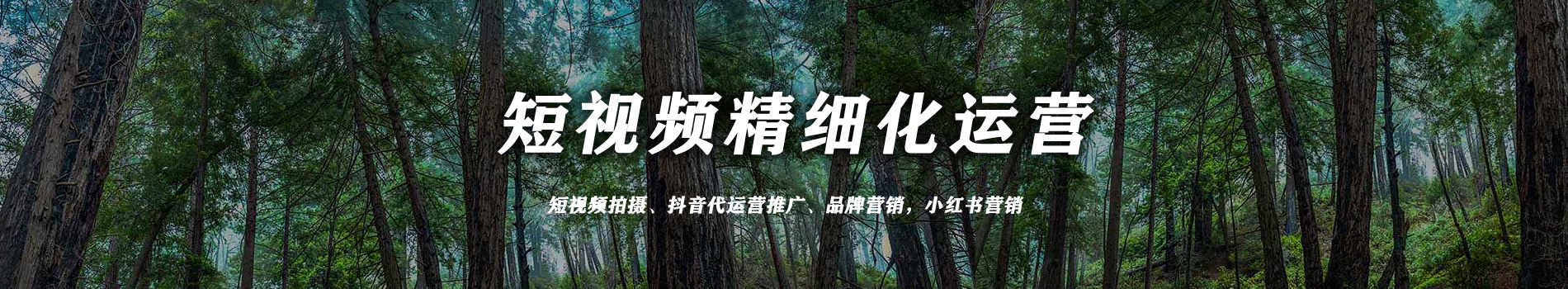 SEO网站优化服务价格-最快3天上首页-按效果付费